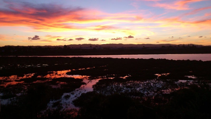 2/40 Saxon Street, Waterview, Auckland - Carousel 1