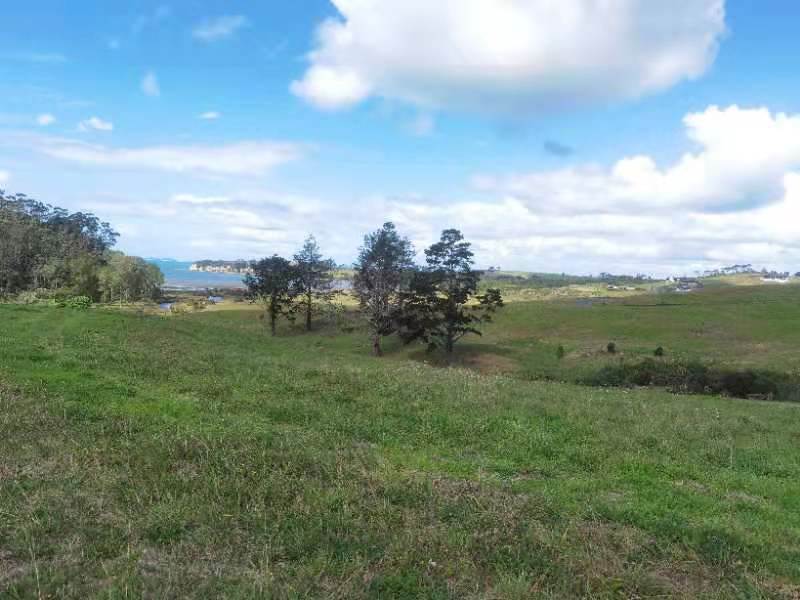18 Taha Puke Road, Okura Bush, Silverdale - Carousel 1