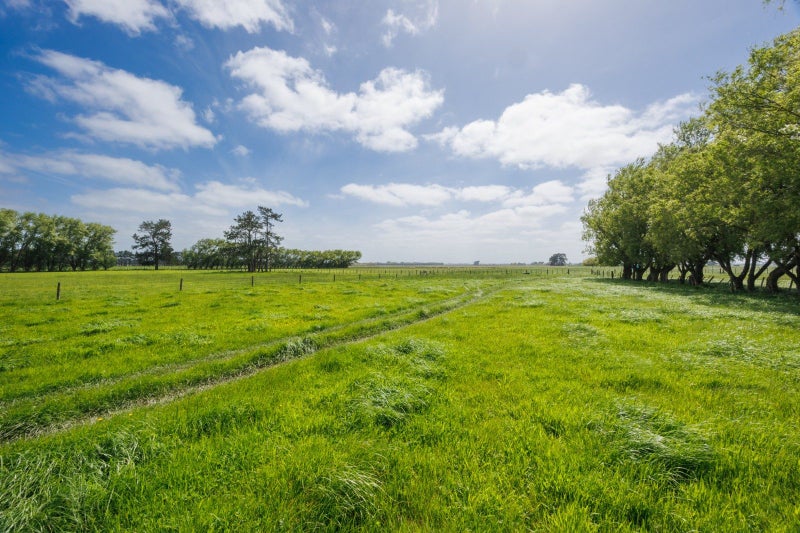 1331 Rongotea Road, Kairanga, Palmerston North - Carousel 2