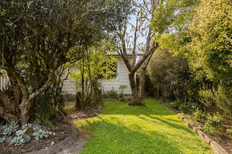 1A Massey Street, Greytown - Carousel 22
