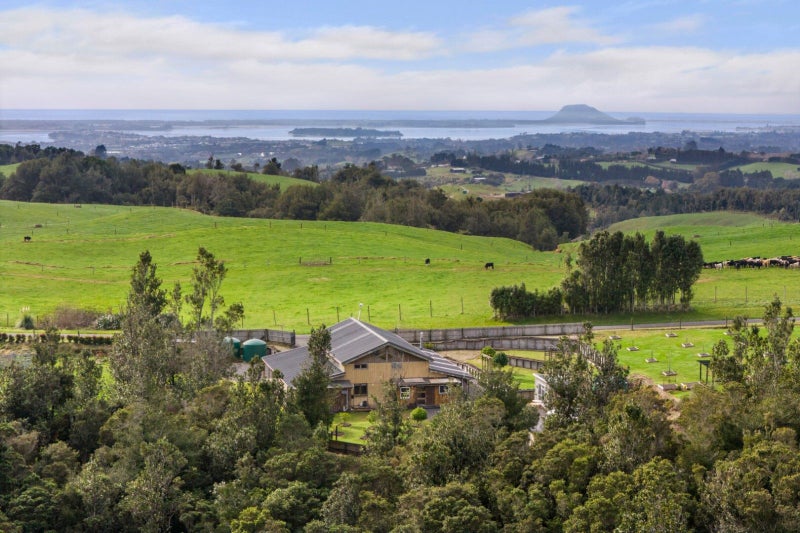 994 Work Road, Katikati - Carousel 23