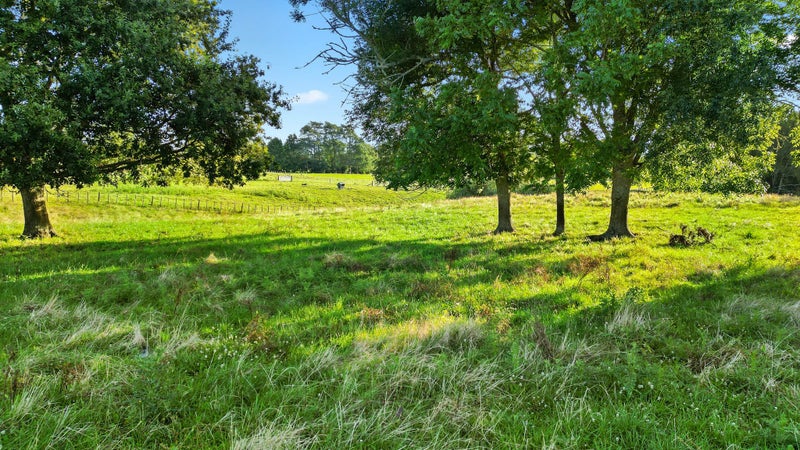 35 Jury Road, Hamilton - Carousel 2