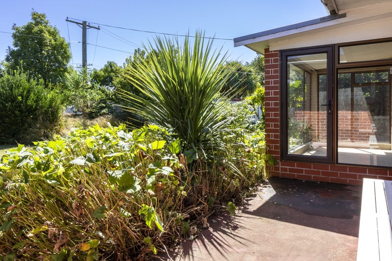 34 Meehan Street, Islington, Blenheim - Carousel 29