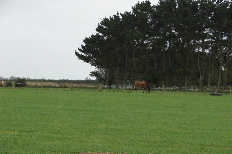 235 Staunton Road, West Plains - Carousel 3