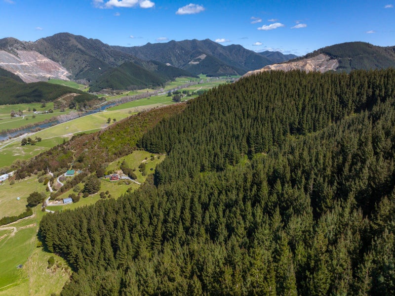 Property Valuation for 125 Kaiuma Bay Road, Canvastown Trade Me