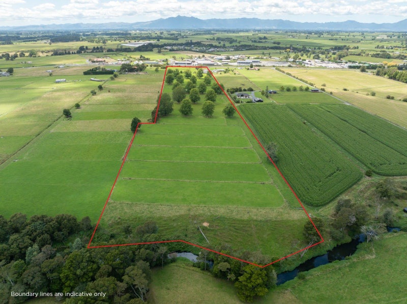 222 Morrinsville-Walton Road, Morrinsville, Morrinsville - Carousel 25
