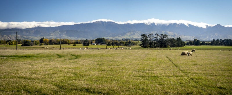 593 East Taratahi Road, East Taratahi, Carterton - Carousel 20