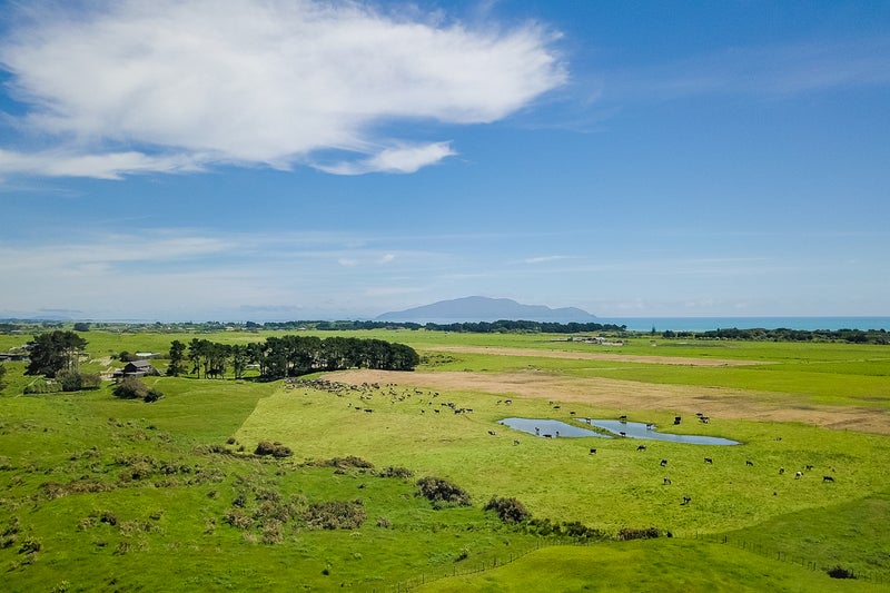 191 Swamp Road, Te Horo - Carousel 20