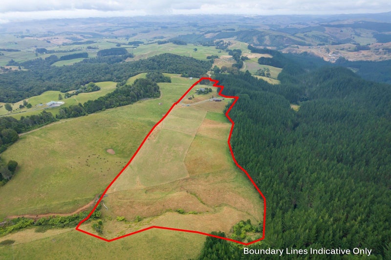 88 Scott Rd, Te Awamutu, Waipa, Waikato - Carousel 37