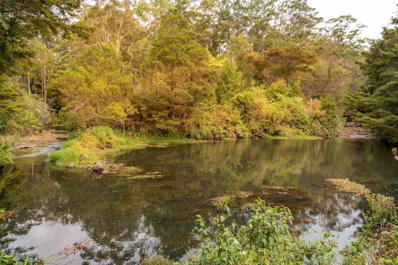 Property Valuation for 64 Jennings Road, Kerikeri Trade Me Property