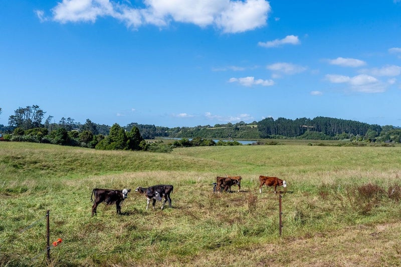 141 Wades Road, Howick - Carousel 21