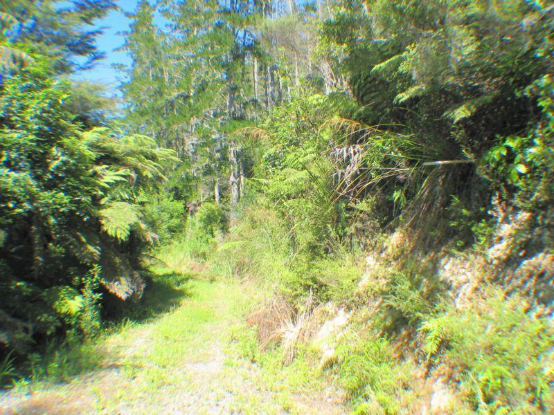 Property Valuation for 580A Hikuai Settlement Road, Hikuai Trade Me