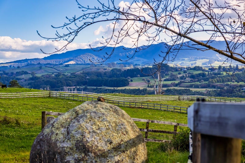 263B Horahora Road, Piarere, Tīrau - Carousel 35