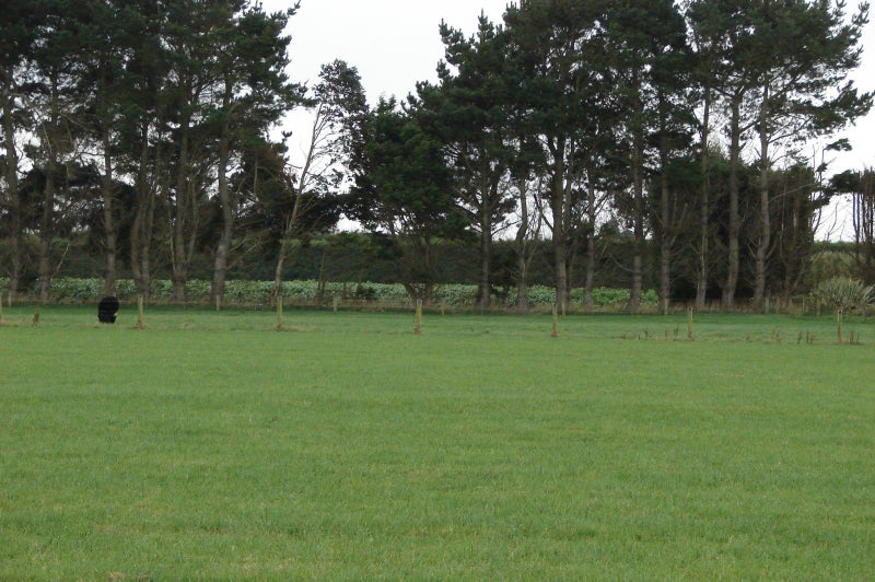 235 Staunton Road, West Plains - Carousel 1