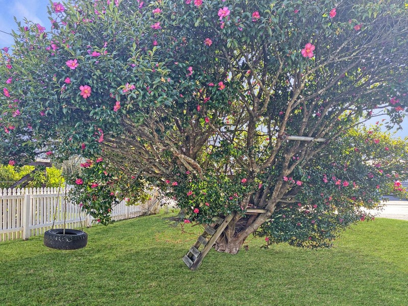2 Vera Road, Te Atatū South, Auckland - Carousel 13