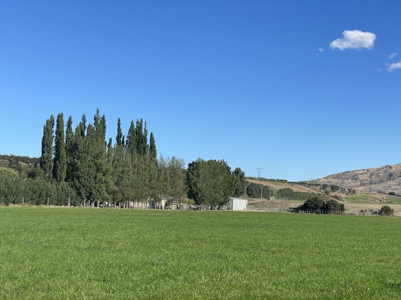 115 Gilmour Road, Roxburgh East, Roxburgh - Carousel 19