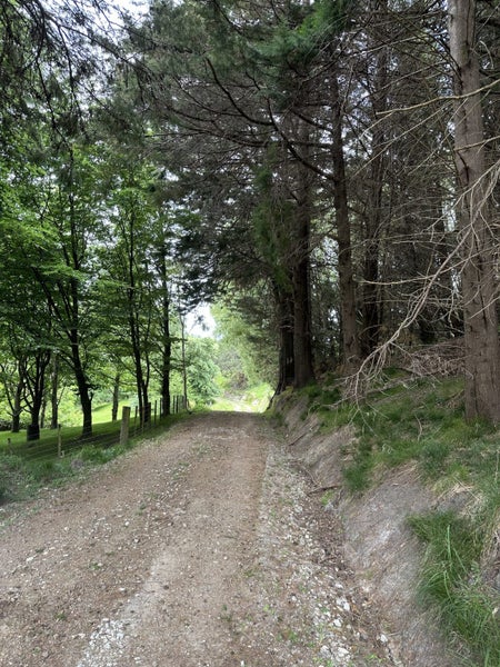 0 Ormond Valley Road, Ormond, Gisborne - Carousel 16