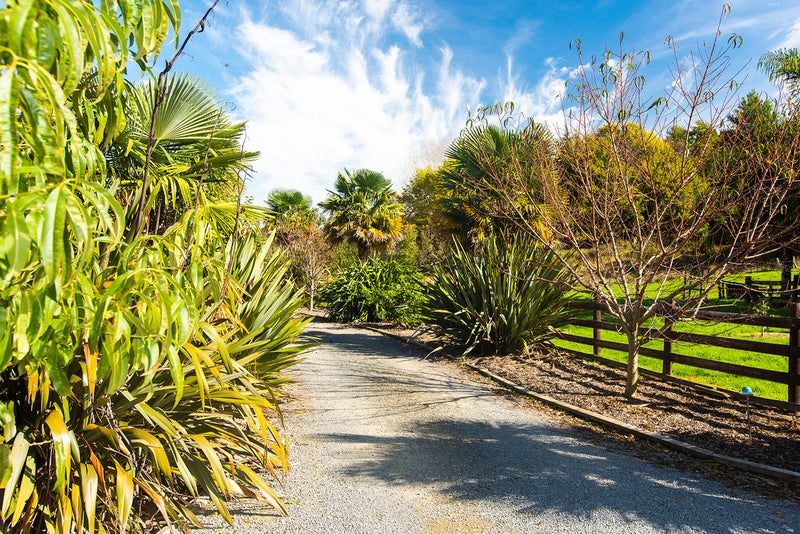 351 Matokitoki Valley Road, Gisborne - Carousel 28
