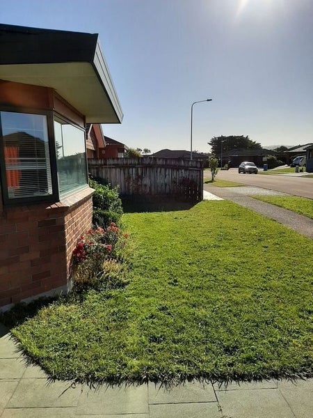 Petone, Lower Hutt, Wellington - Carousel 19