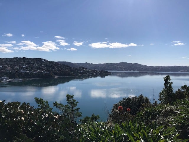 21 Rangitane Street, Maupuia, Wellington - Carousel 1