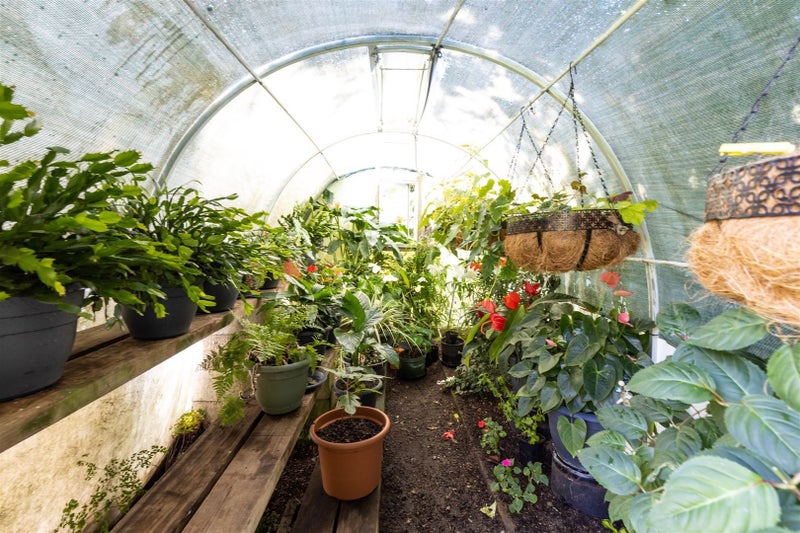 188 Mount Riley Road, Okaramio, Havelock - Carousel 42