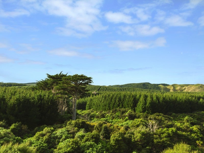 31A Gray Street, Pukerua Bay, Porirua - Carousel 2