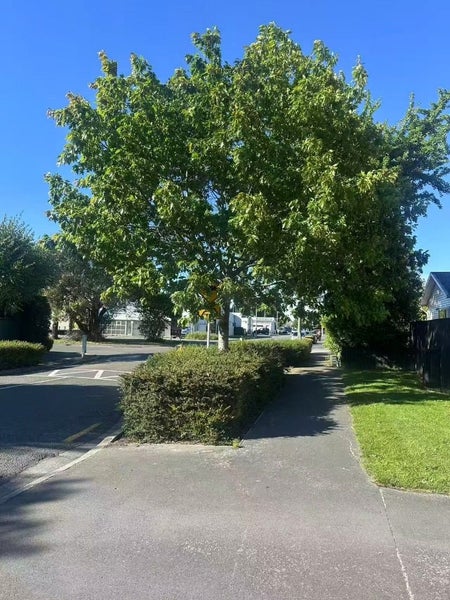 1/15 Brake Street, Upper Riccarton, Christchurch - Carousel 10