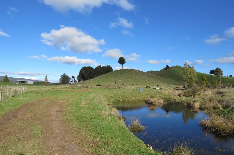 41 Riley Place, Owhango - Carousel 2