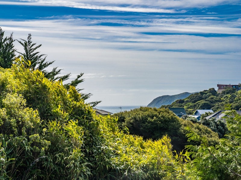 16 Trispen Place, Camborne, Porirua - Carousel 2