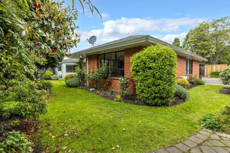 28B Weld Street, Blenheim, Blenheim - Carousel 1