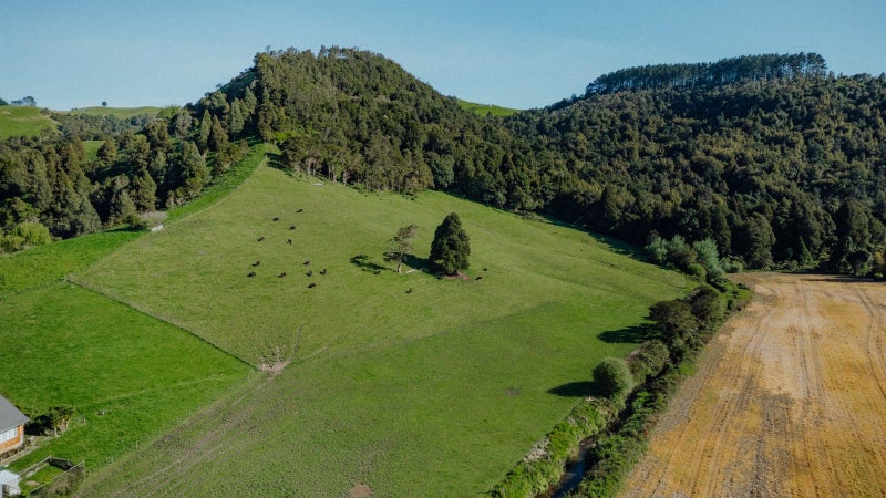 1/369 Flume Road, Te Miro, Cambridge - Carousel 25