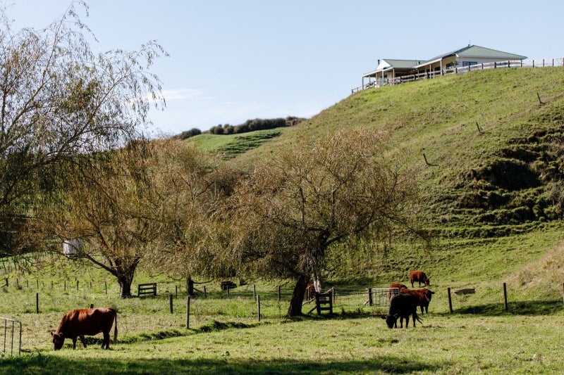 113C Downard Road, Awakeri, Whakatane, Bay Of Plenty - Carousel 2