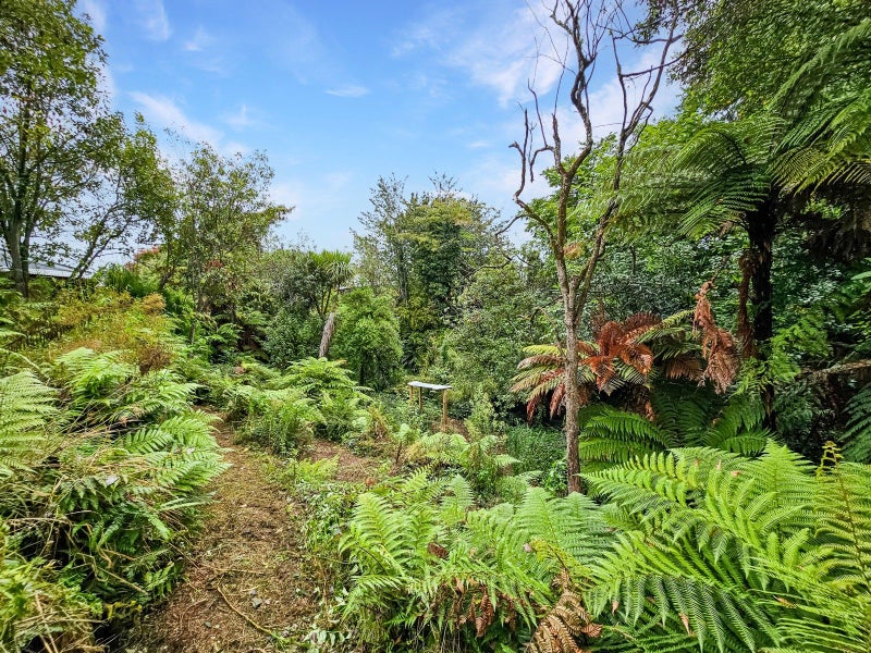 10 Hermes Place, Sunnybrook, Rotorua - Carousel 17