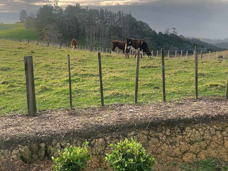 1665 Matapouri Road, Matapouri, Whangārei - Carousel 22