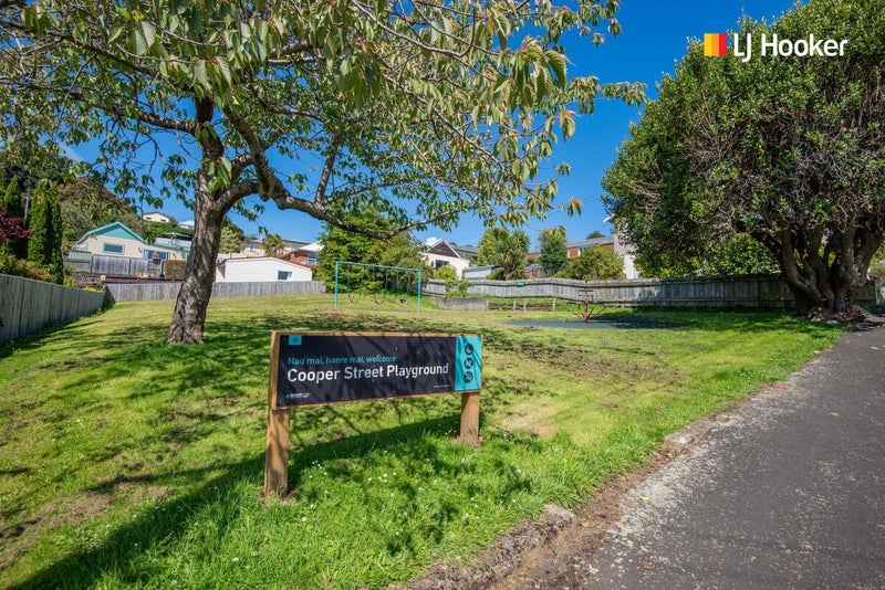 24 Cooper Street, Mornington, Dunedin - Carousel 17
