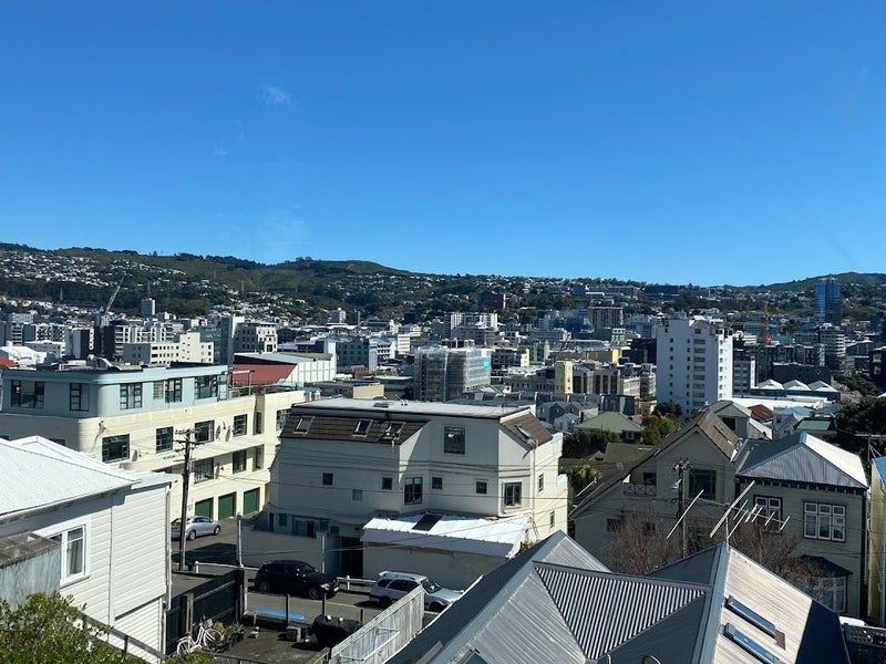 25A Earls Terrace, Mount Victoria, Wellington - Carousel 9