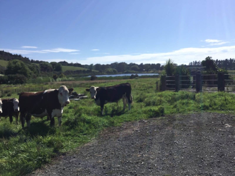 700 Ocean View Road, Te Arai, Wellsford - Carousel 2