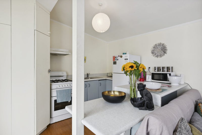 66 Elizabeth Street, Mount Victoria, Wellington - Carousel 2