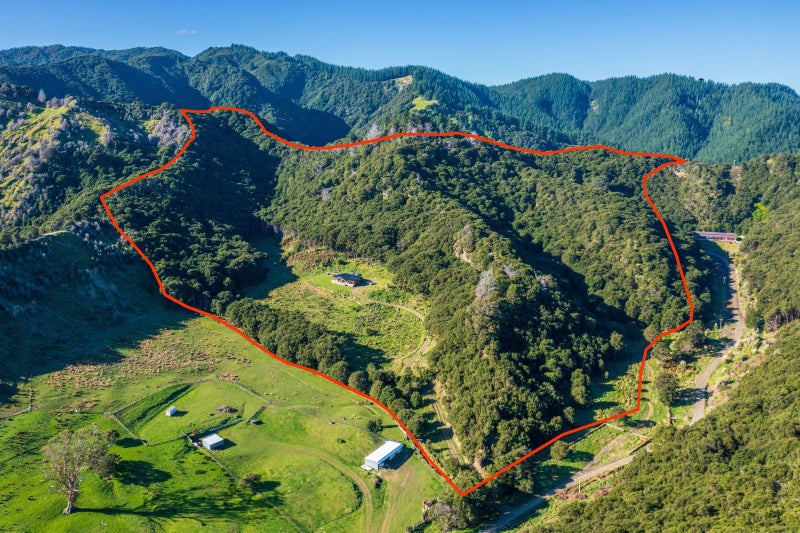 403 Matokitoki Valley Road, Gisborne - Carousel 1