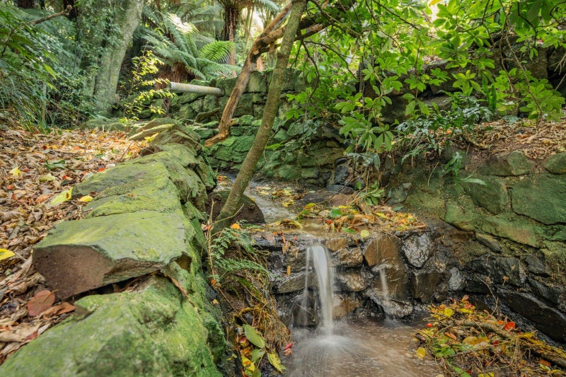 52 St Leonards Drive, Saint Leonards, Dunedin, Otago - Carousel 28
