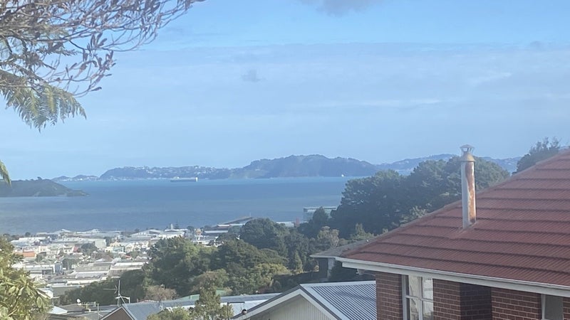 56 Dowse Drive, Maungaraki, Lower Hutt - Carousel 20