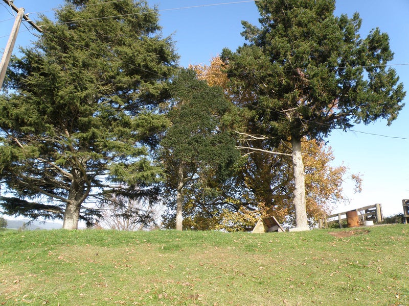 84 Old Te Aroha Road, Te Poi, Matamata - Carousel 26