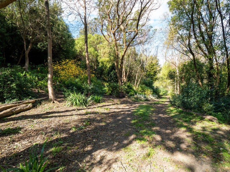 5 Monarch Drive, Robinsons Bay, Akaroa - Carousel 17