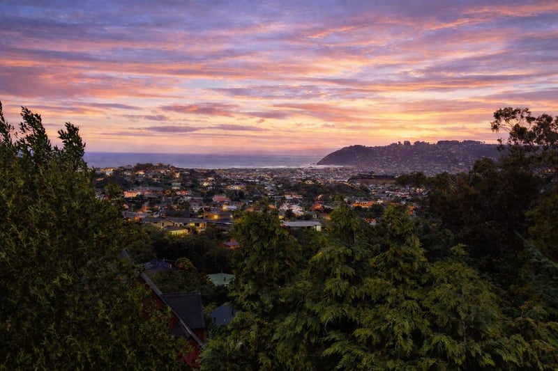 27 Elliffe Place, Shiel Hill, Dunedin - Carousel 39