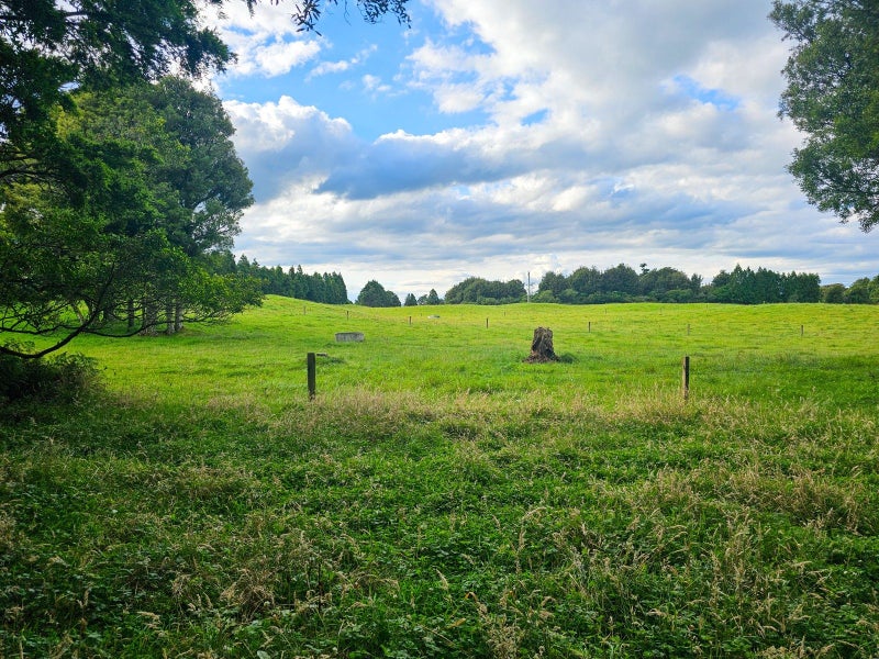 118 South Road, Mamaku - Carousel 32