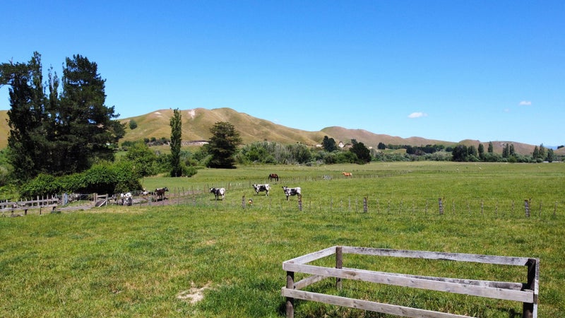171 Tikokino Road, Waipawa, Waipawa - Carousel 6
