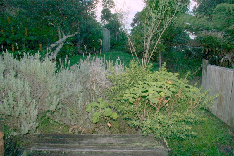 Property Valuation for 3 Tirinui Crescent, Tairua, Tairua Trade Me