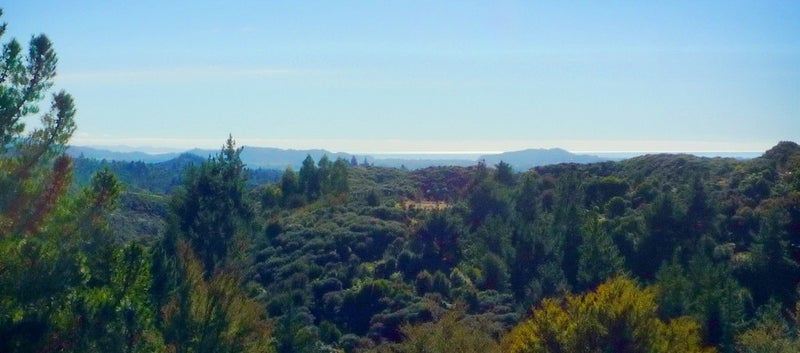 0 Craigieburn Road, Atarau, Blackball - Carousel 1