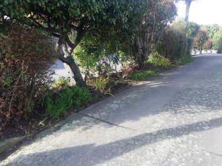 1/12 Ensors Road, Opawa, Christchurch - Carousel 17
