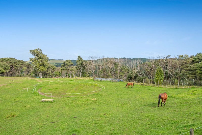 211 Wilson Road, Helensville - Carousel 2